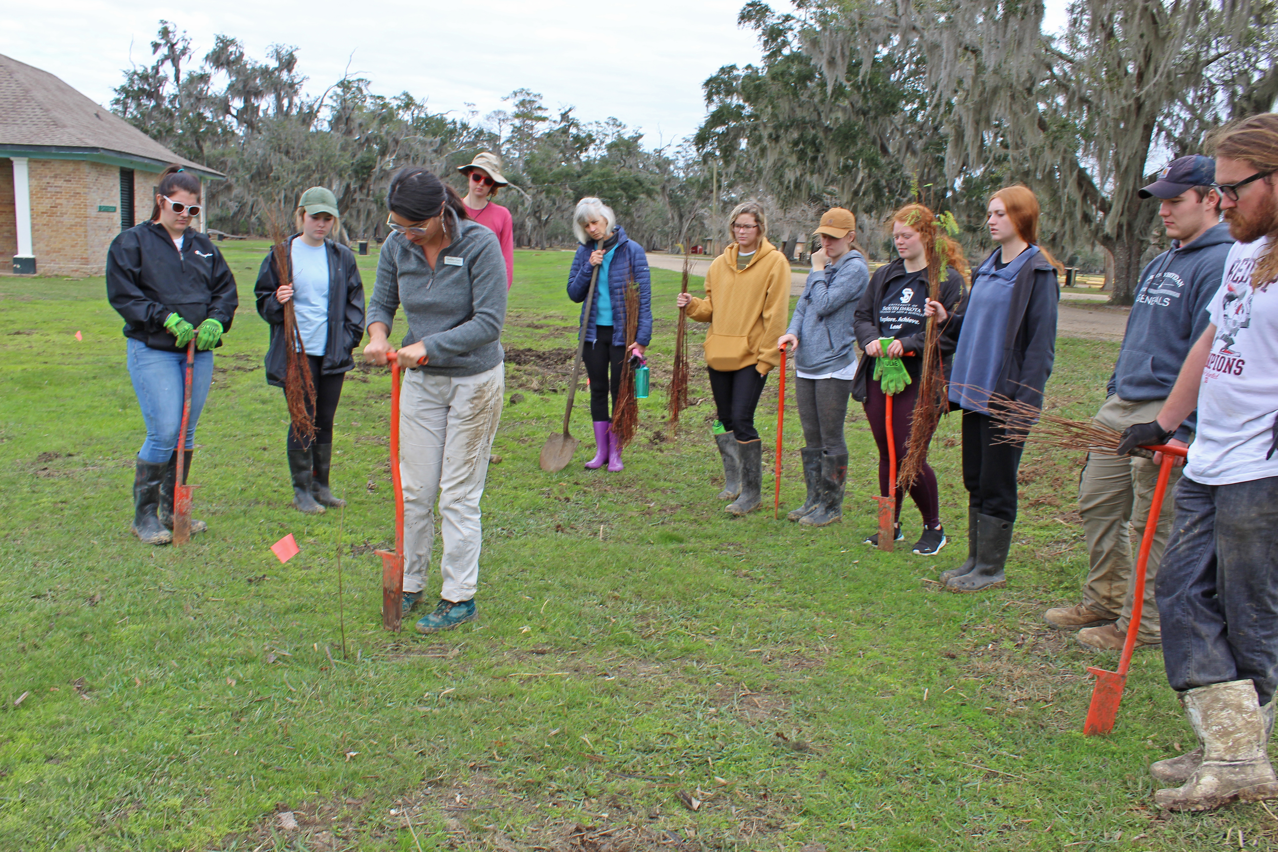 Planting trees at Fontainebleau State Park