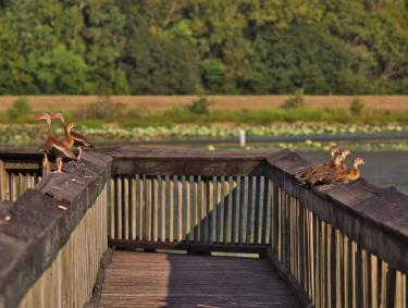 Chicot State Park