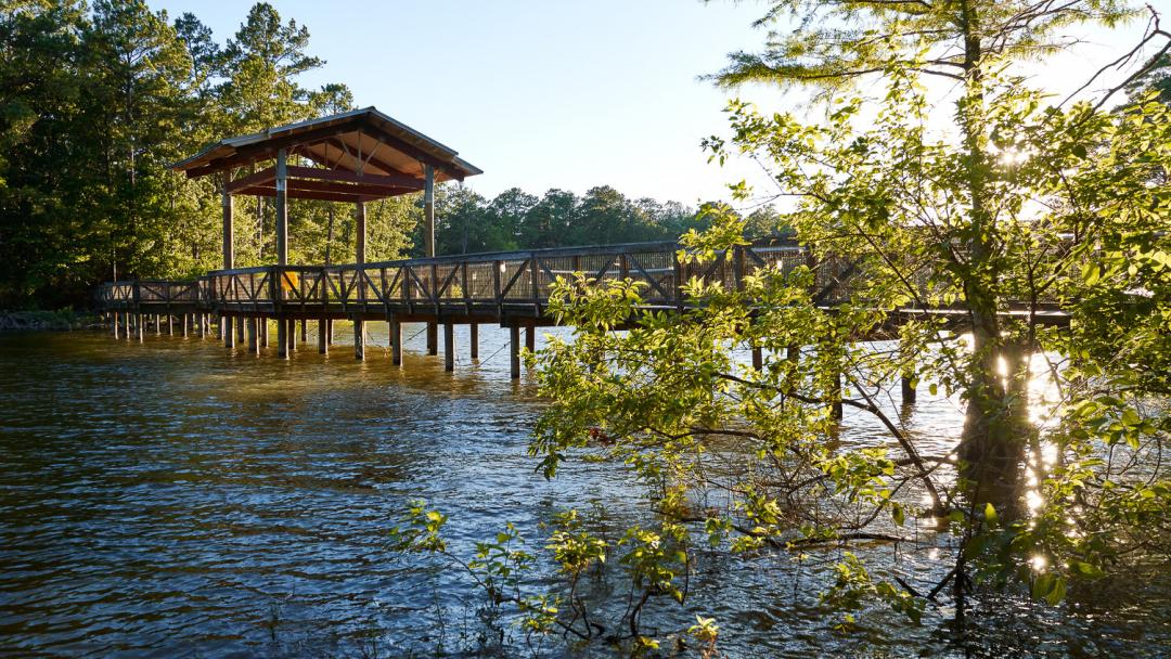 Toledo Bend is consistently ranked among the top bass lakes in the U.S.