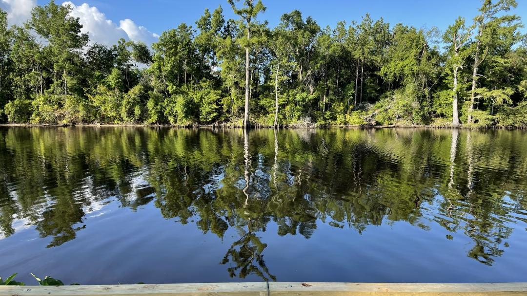 Calcasieu River at Same Houston Jones State Park