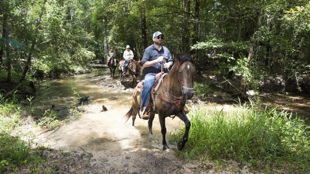 Group riding horses on a trail in Bogue Chitto State Park