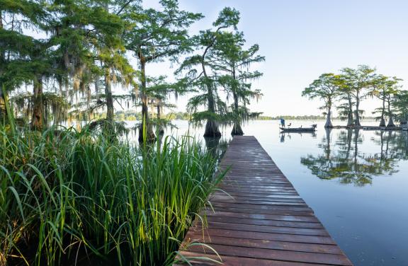 Relax at Lake Bruin State Park
