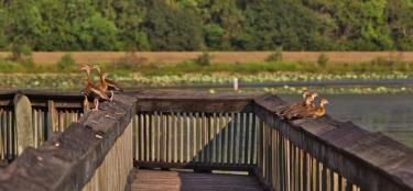 Chicot State Park