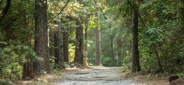 North Toledo Bend State Park