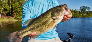 Bass fishing at South Toledo Bend State Park