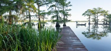 Relax at Lake Bruin State Park