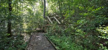 Hiking trail with elevation