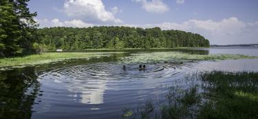 North Toledo Bend swimming