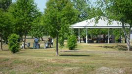 Bayou Segnette State Park