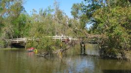 Lake Fausse Pointe State Park