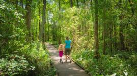 Boardwalk at Fairview Riverside State Park