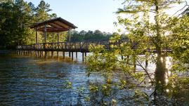 Toledo Bend is consistently ranked among the top bass lakes in the U.S.