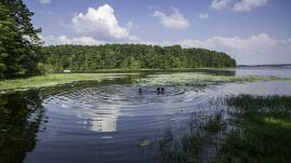 North Toledo Bend swimming