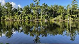 Calcasieu River at Same Houston Jones State Park