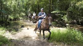 Group riding horses on a trail in Bogue Chitto State Park