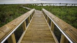 Boardwalk out to bayou at Fontaine Bleau State Park