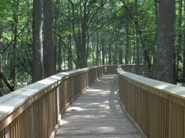 Lake Bistineau State Park