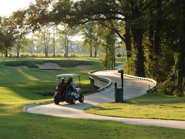 Golf Cart on path at Black Bear Golf Course