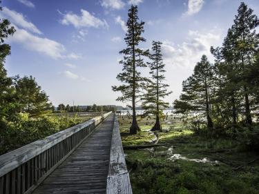 Lake D'Arbonne fishing pier