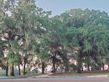 Lake Bistineau near pavilion