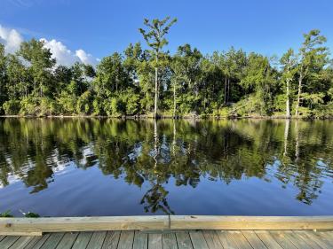 Calcasieu River at Same Houston Jones State Park