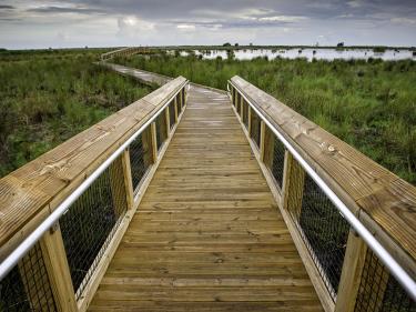 Boardwalk out to bayou at Fontaine Bleau State Park