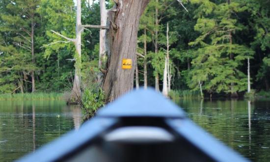 Chicot State Park