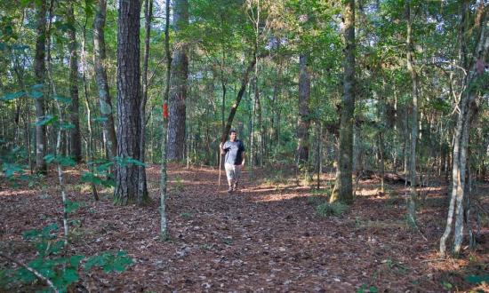 Chicot State Park