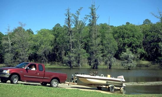 Escape to Louisiana's Hidden Gem: Lake Bistineau State Park