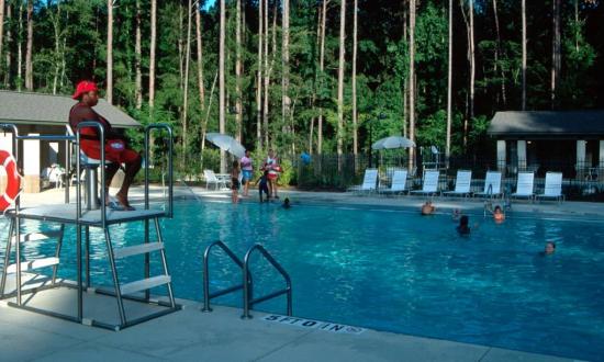 Lake D Arbonne State Park Louisiana State Parks Culture Recreation And Tourism