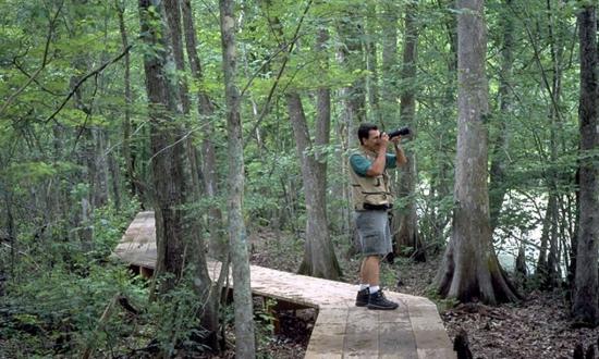 Interactive Map of Louisiana's National Parks and State Parks