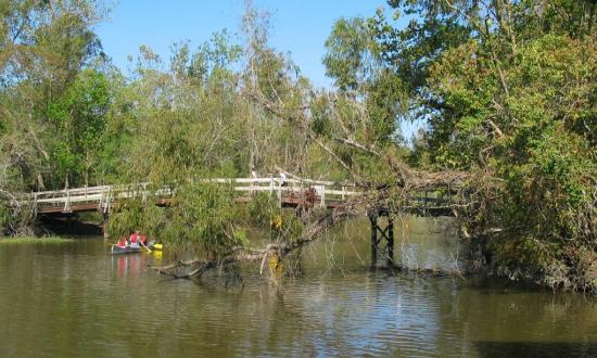 Lake Fausse Pointe State Park