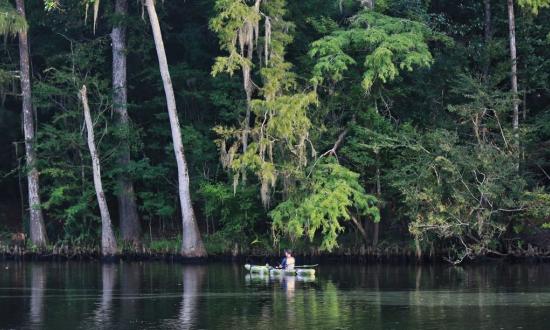 Escape to the Bayou: Louisiana's Sam Houston State Park - A Hidden Gem