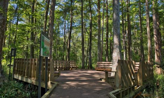 Palmetto State Park Map Palmetto Island State Park | Louisiana State Parks - Culture, Recreation,  And Tourism