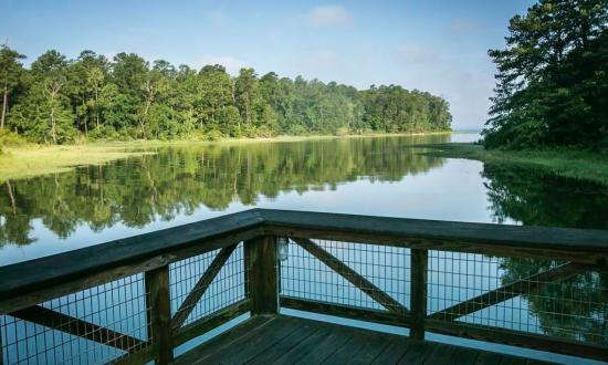 South Toledo Bend State Park