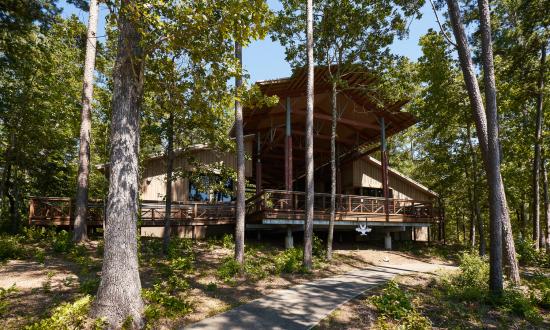 Tent or RV camping, cabins or group camps are available at South Toledo Bend State Park