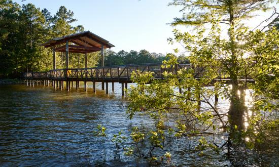 Toledo Bend is consistently ranked among the top bass lakes in the U.S.