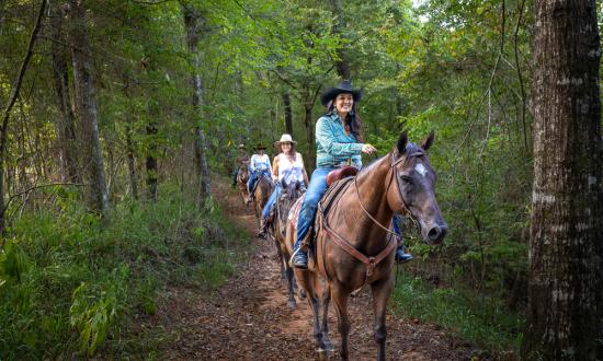 Equine trail riders