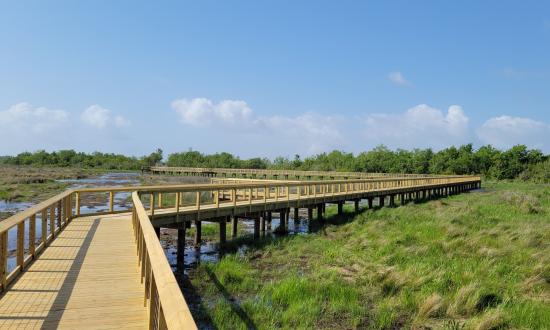 Marsh boardwalk