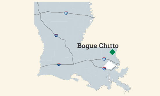 map of louisiana with Bogue Chitto State Park identified