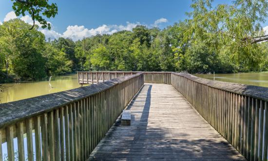 boardwalk trail 