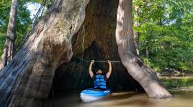 Kayaking at Chemin-A-Haut State Park