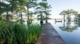 Lake Bruin view of lake and board walk